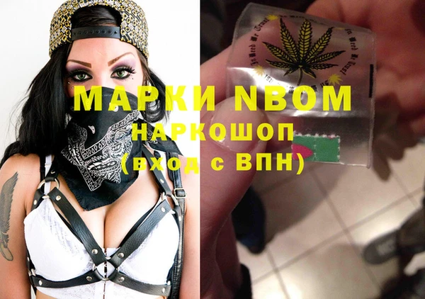гидра Балахна