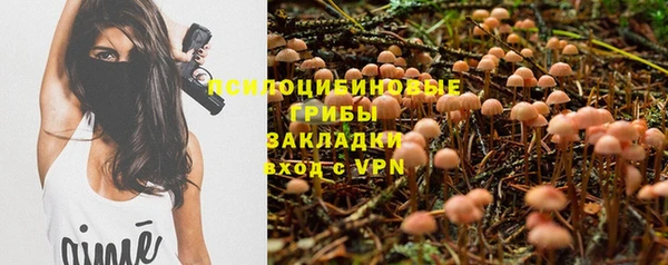 гидра Балахна