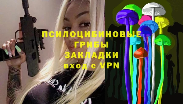 гидра Балахна