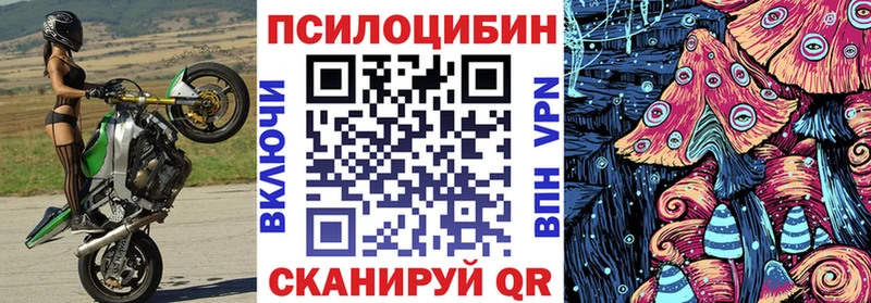 Псилоцибиновые грибы Cubensis  Чудово 