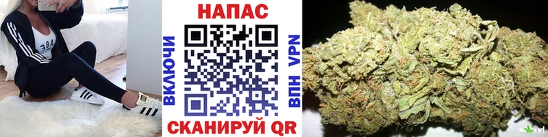 Каннабис ГИДРОПОН  Чудово 